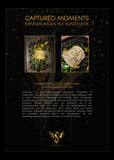 Fragments of Celebration: Margeaux 1982 Magnum