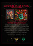 Fragments of Celebration: Dom Pérignon 2012  – Luminous Pink & Roses